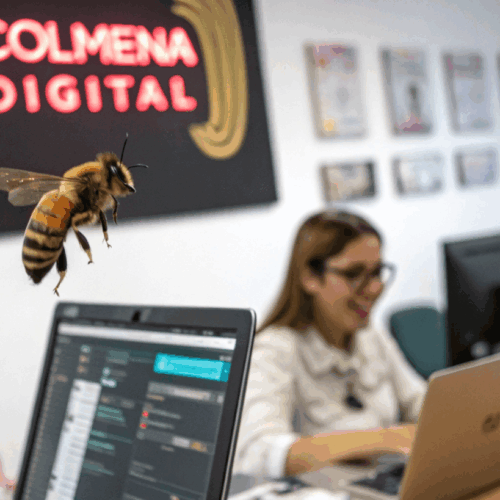 Ayudamos a que tu marca se vea y se sienta como debe. Diseñamos logotipos, paletas de color, estilos gráficos y tono de voz que reflejen quién eres y qué haces. Ya sea que estés comenzando o reestructurando tu proyecto, creamos una identidad coherente y flexible que puedas aplicar en redes sociales, sitios web, anuncios y cualquier punto de contacto digital.